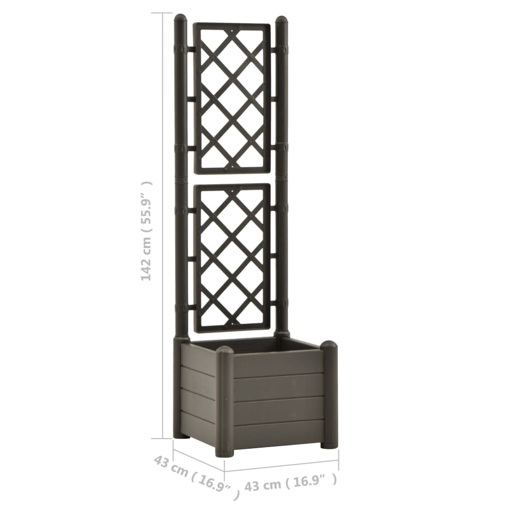 Garden Planter with Trellis 16.9"x16.9"x55.9" PP Anthracite